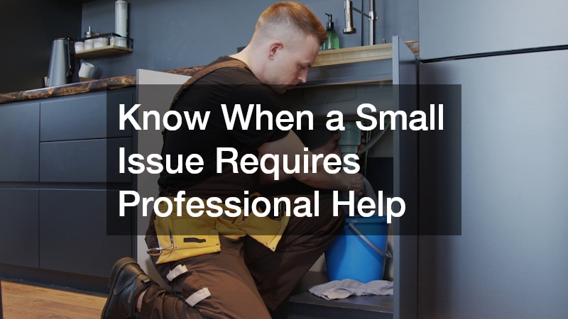 Know When a Small Issue Requires Professional Help