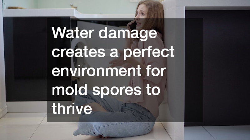 Water damage creates a perfect environment for mold spores to thrive