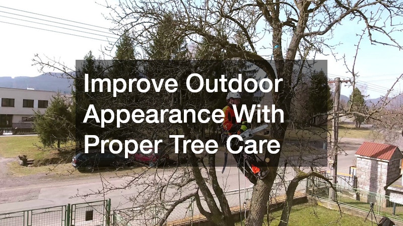 Improve Outdoor Appearance With Proper Tree Care