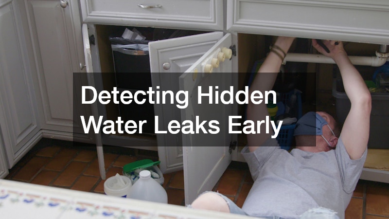 Detecting Hidden Water Leaks Early