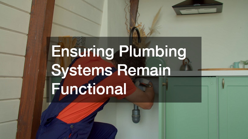 Ensuring Plumbing Systems Remain Functional