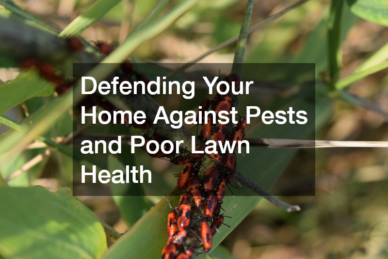 Defending Your Home Against Pests and Poor Lawn Health