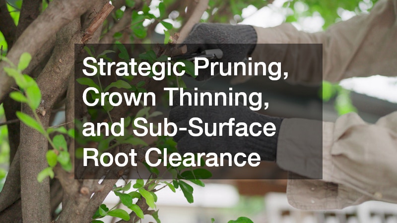 Strategic Pruning, Crown Thinning, and Sub-Surface Root Clearance