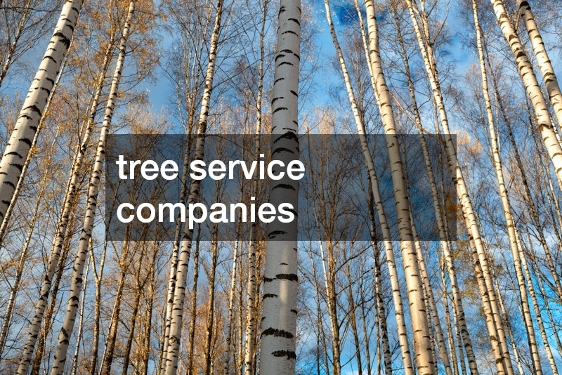 tree service companies