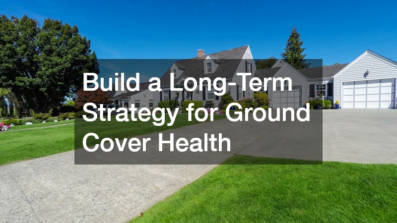Build a Long-Term Strategy for Ground Cover Health