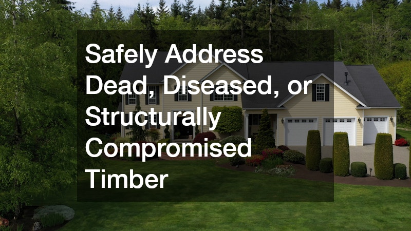 Safely Address Dead, Diseased, or Structurally Compromised Timber