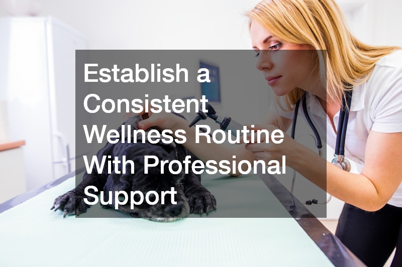Establish a Consistent Wellness Routine With Professional Support