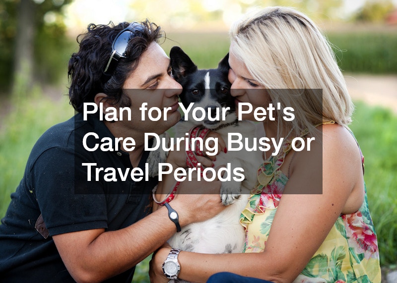 Plan for Your Pet’s Care During Busy or Travel Periods