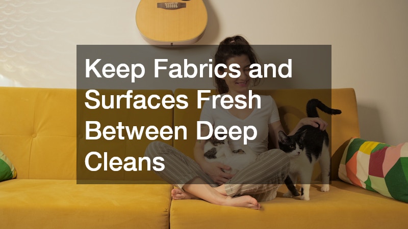 Keep Fabrics and Surfaces Fresh Between Deep Cleans