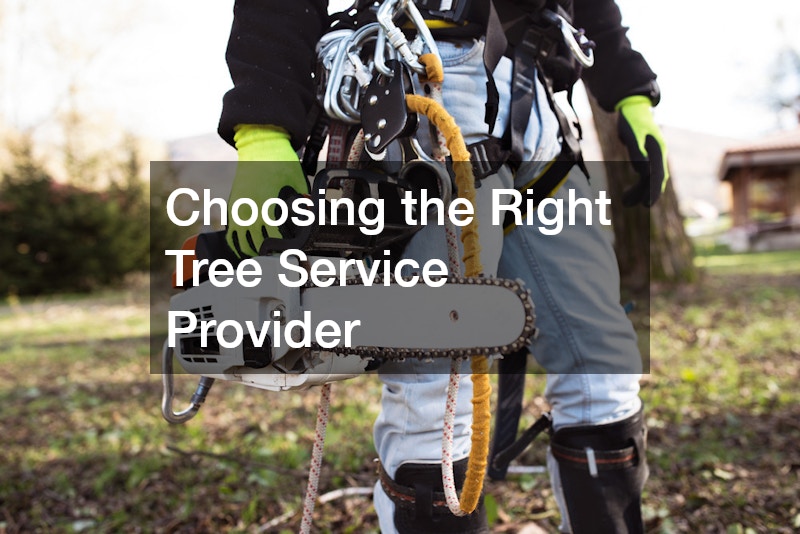 Choosing the Right Tree Service Provider