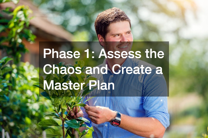 Phase 1: Assess the Chaos and Create a Master Plan