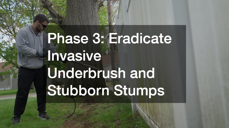 Phase 3: Eradicate Invasive Underbrush and Stubborn Stumps