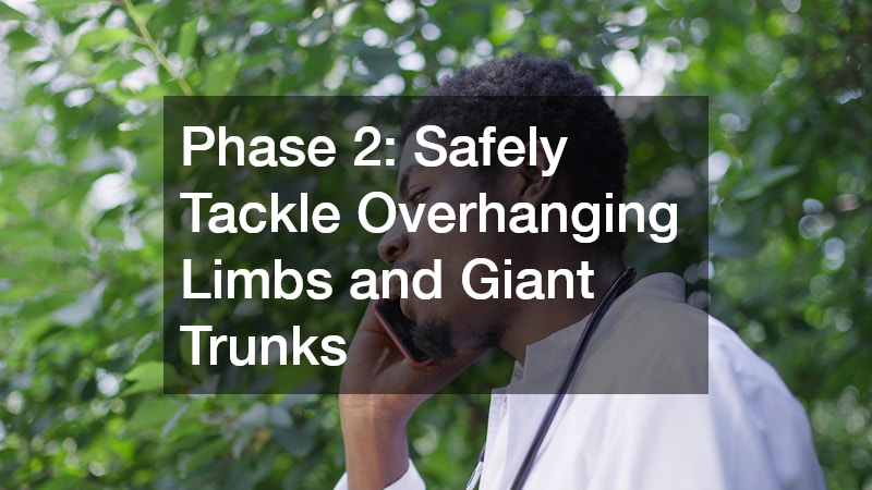 Phase 2: Safely Tackle Overhanging Limbs and Giant Trunks
