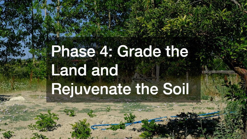 Phase 4: Grade the Land and Rejuvenate the Soil