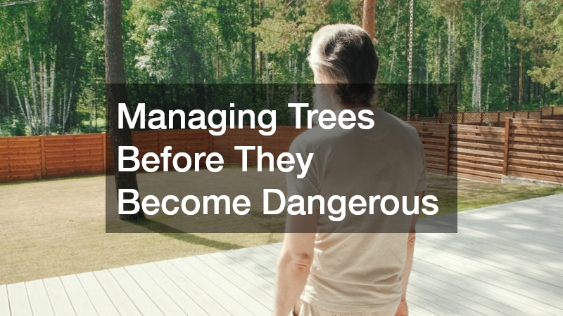 Managing Trees Before They Become Dangerous