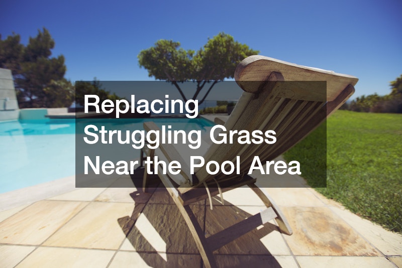 Replacing Struggling Grass Near the Pool Area