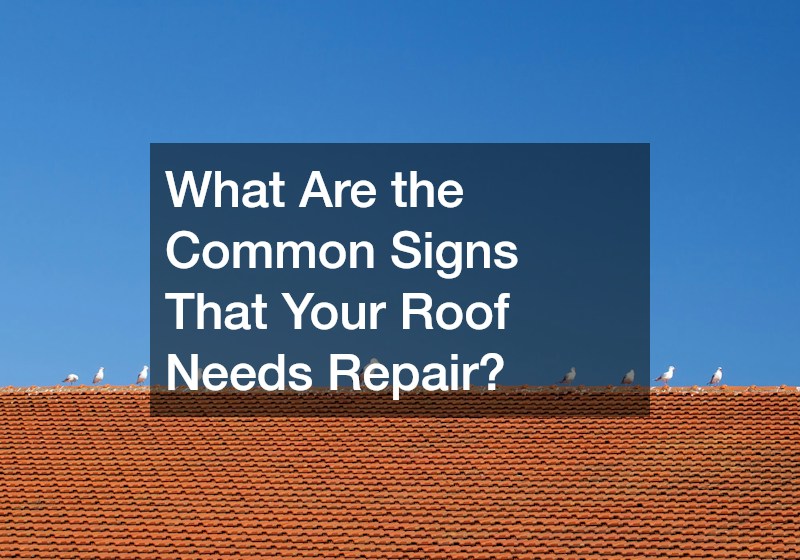 What Are the Common Signs That Your Roof Needs Repair?