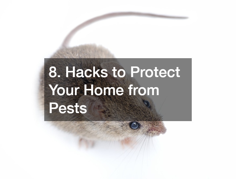 8. Hacks to Protect Your Home from Pests