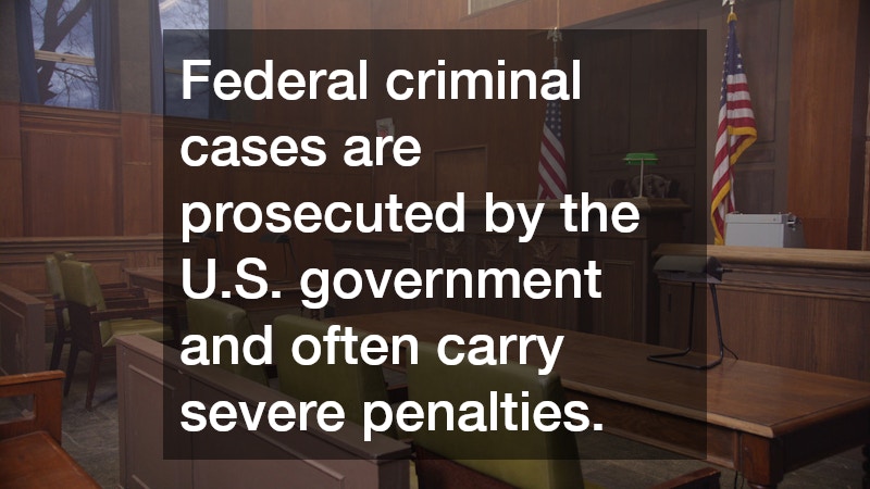 Federal criminal cases are prosecuted by the U.S. government and often carry severe penalties.