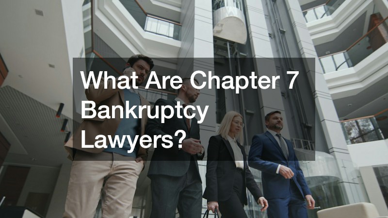 What Are Chapter 7 Bankruptcy Lawyers?
