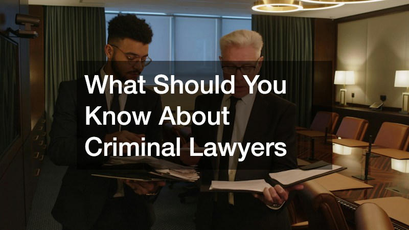 What Should You Know About Criminal Lawyers