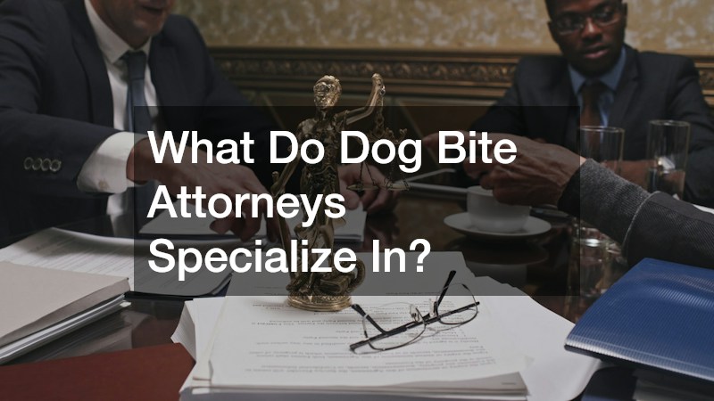 What Do Dog Bite Attorneys Specialize In?