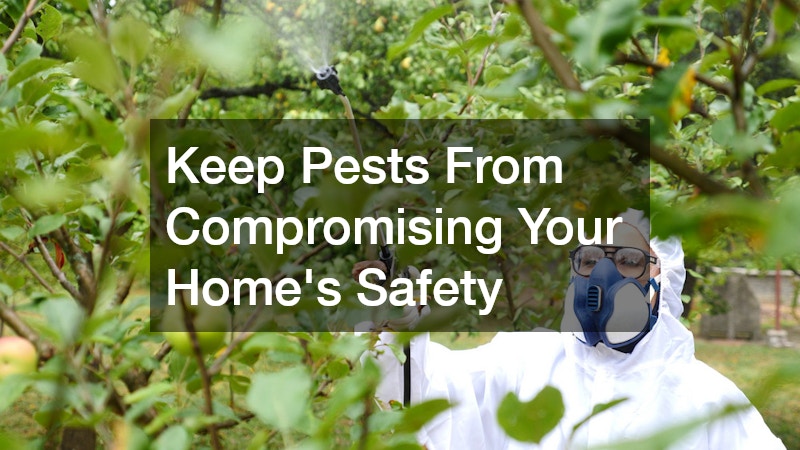 Keep Pests From Compromising Your Home’s Safety