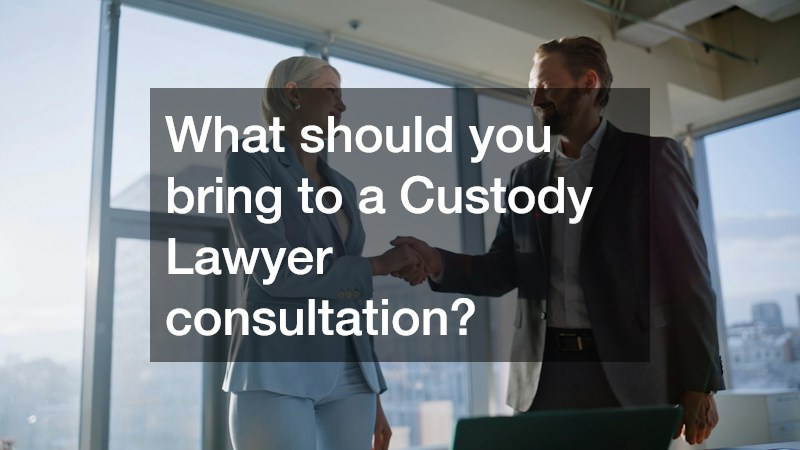What should you bring to a Custody Lawyer consultation?