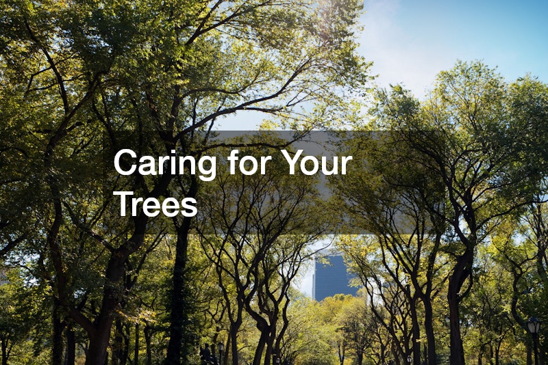 Caring for Your Trees
