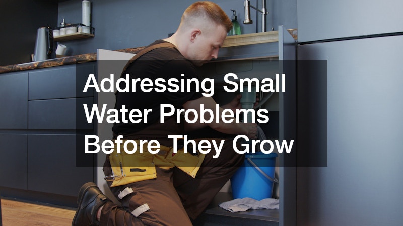 Addressing Small Water Problems Before They Grow