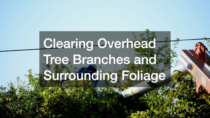 Clearing Overhead Tree Branches and Surrounding Foliage