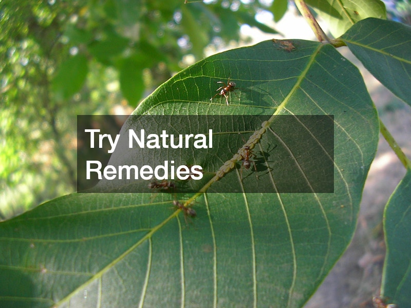 Try Natural Remedies