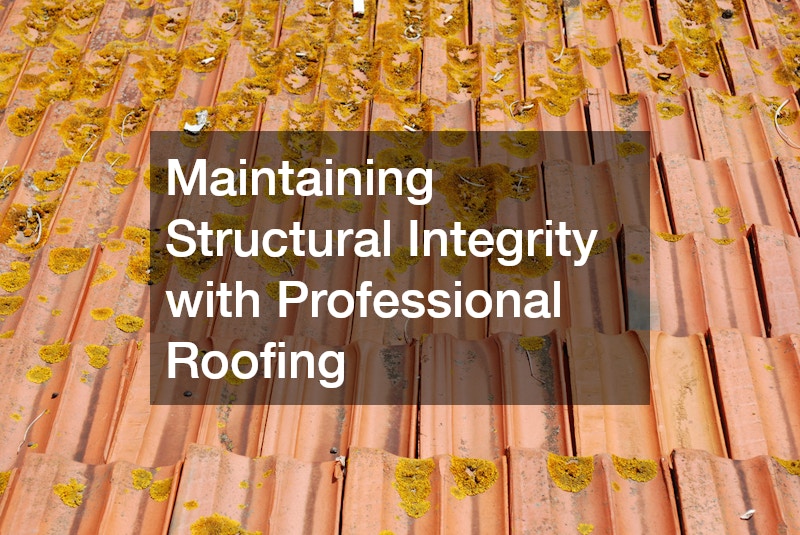 Maintaining Structural Integrity with Professional Roofing