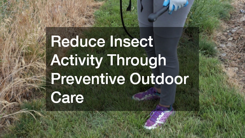 Reduce Insect Activity Through Preventive Outdoor Care