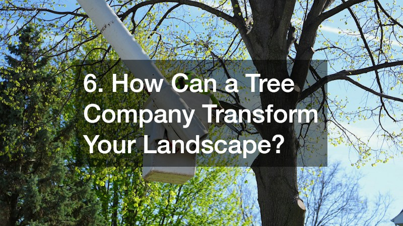 6. How Can a Tree Company Transform Your Landscape?