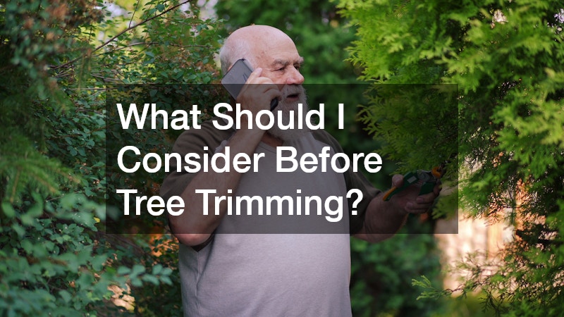 What Should I Consider Before Tree Trimming?