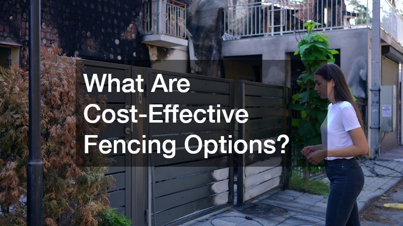 What Are Cost-Effective Fencing Options?