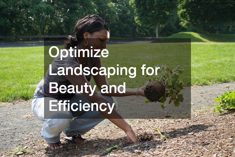 Optimize Landscaping for Beauty and Efficiency