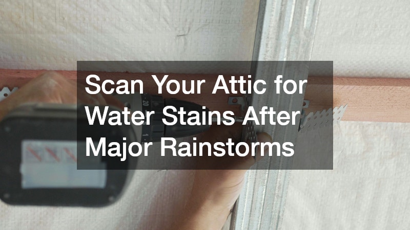 Scan Your Attic for Water Stains After Major Rainstorms