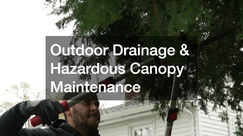 Outdoor Drainage & Hazardous Canopy Maintenance