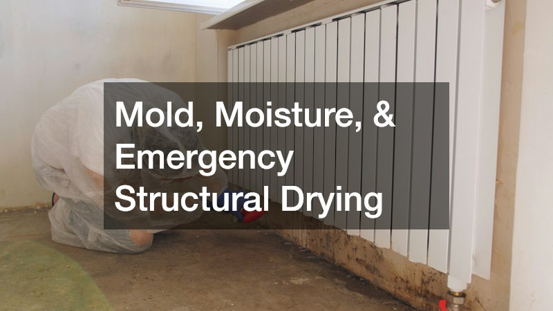 Mold, Moisture, & Emergency Structural Drying