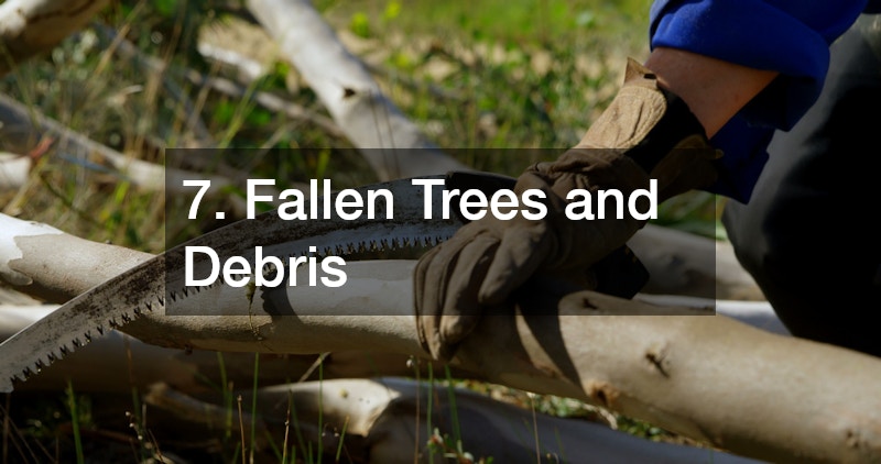 7. Fallen Trees and Debris