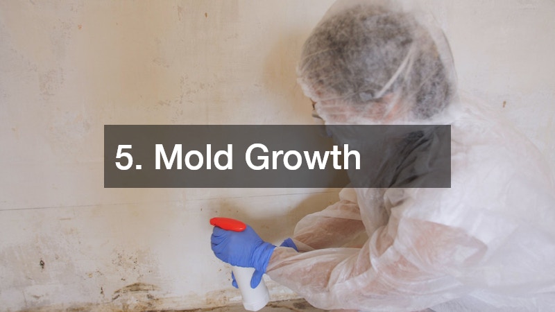 5. Mold Growth