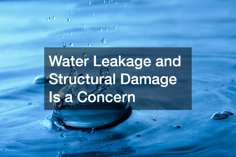 Water Leakage and Structural Damage Is a Concern 