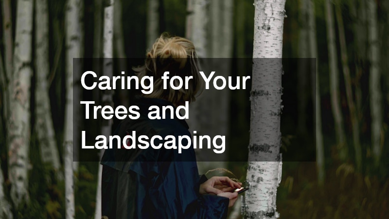 Caring for Your Trees and Landscaping