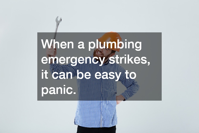 When a plumbing emergency strikes, it can be easy to panic.