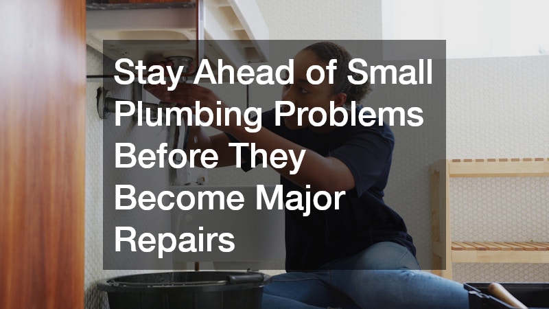 Stay Ahead of Small Plumbing Problems Before They Become Major Repairs