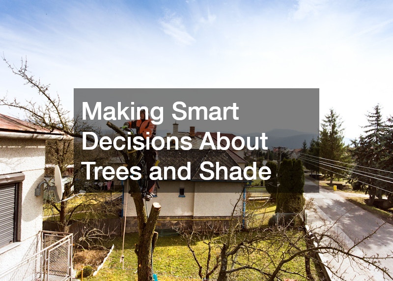 Making Smart Decisions About Trees and Shade
