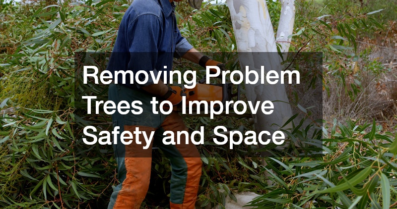 Removing Problem Trees to Improve Safety and Space