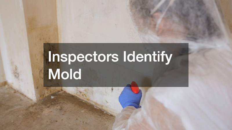 Inspectors Identify Mold